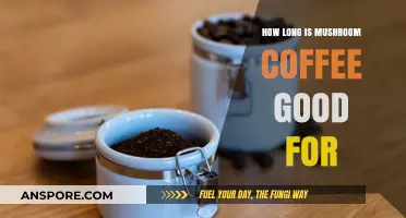 Shelf Life of Mushroom Coffee: Freshness and Storage Tips