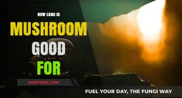 Shelf Life of Mushrooms: How Long Do They Stay Fresh?