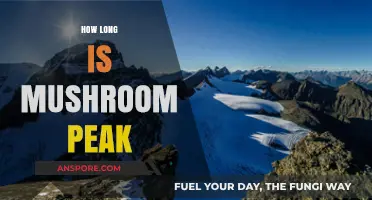 Exploring Mushroom Peak's Duration: A Comprehensive Guide to Its Length