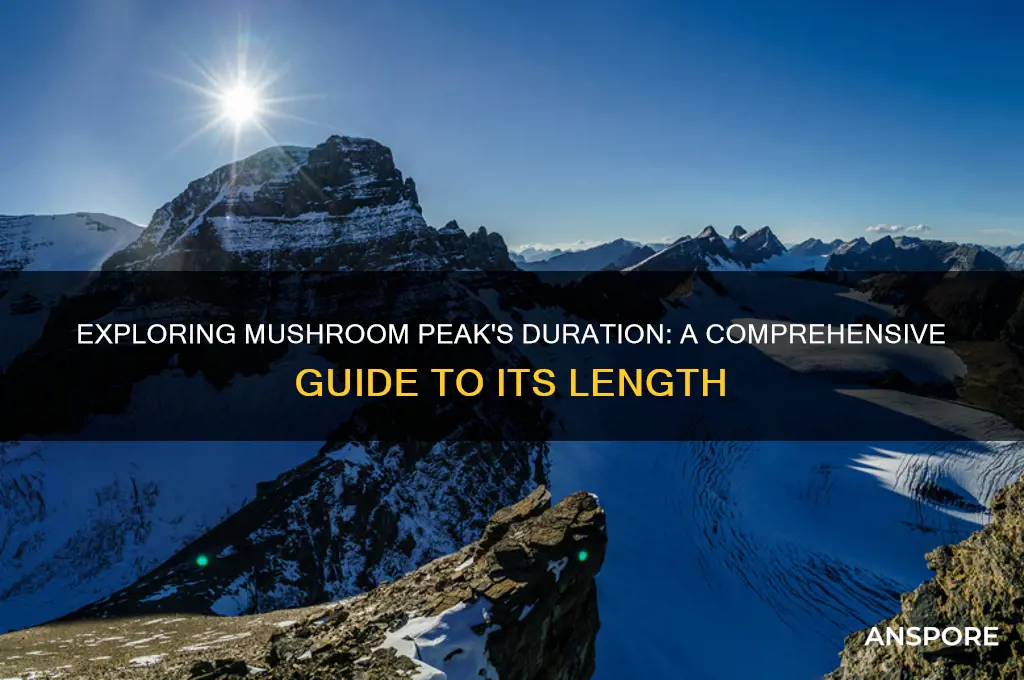 how long is mushroom peak