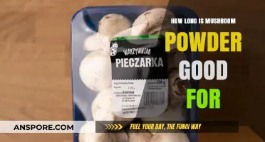 Shelf Life of Mushroom Powder: How Long Does It Last?