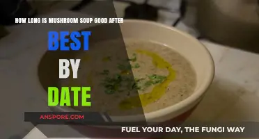 Mushroom Soup Shelf Life: How Long After Best By Date?