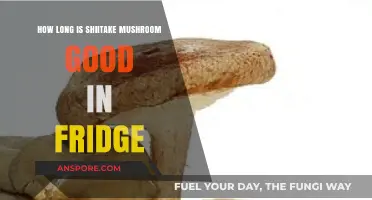 How Long Do Shiitake Mushrooms Last in the Fridge?