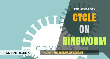Understanding the Duration of Ringworm's Spore Cycle: A Comprehensive Guide