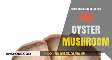 Oyster Mushrooms: Understanding Their Shelf Life and Freshness Duration
