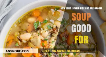 Wild Rice and Mushroom Soup Shelf Life: Storage Tips and Freshness Guide
