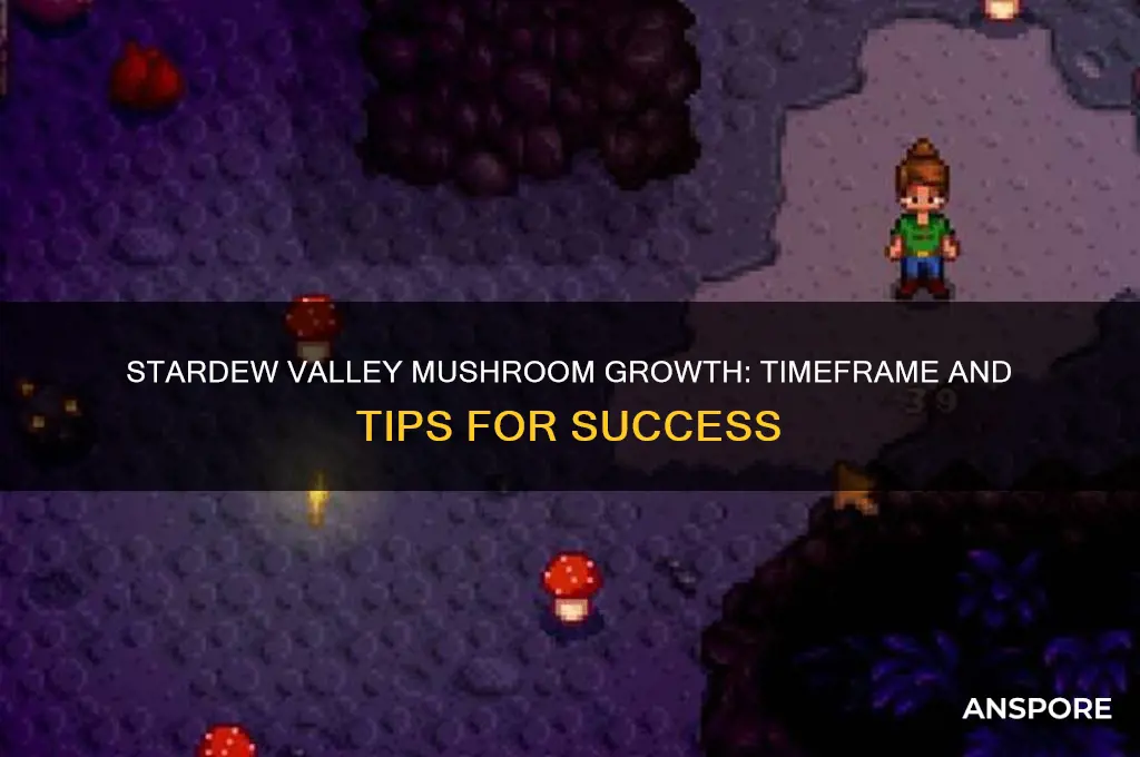 how long it take for mushroom to grow stardew