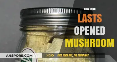 Opened Mushrooms Shelf Life: How Long Do They Stay Fresh?