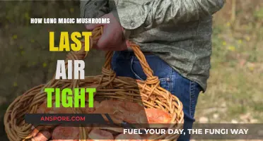 Magic Mushrooms Shelf Life: Airtight Storage Duration Explained