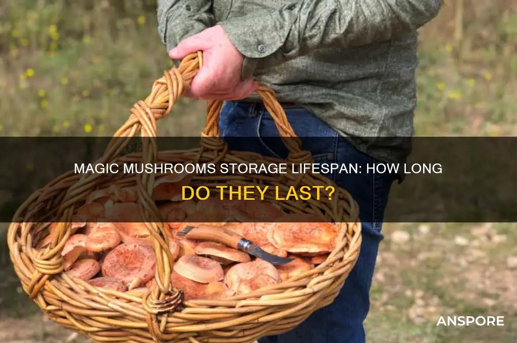 how long magic mushrooms last storage