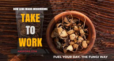 Magic Mushrooms: Understanding the Onset Time for Psychedelic Effects