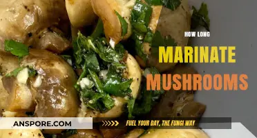 Perfect Mushroom Marinating: Timing Tips for Flavorful, Tender Results
