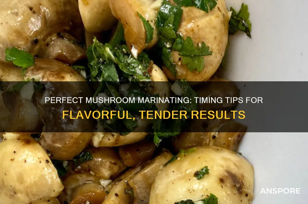 how long marinate mushrooms