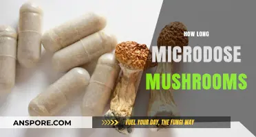 Microdosing Mushrooms: Optimal Duration for Enhanced Focus and Well-being