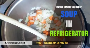 Storing Mushroom Barley Soup: Refrigerator Shelf Life Explained