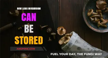 Maximizing Mushroom Freshness: Optimal Storage Tips and Shelf Life Guide