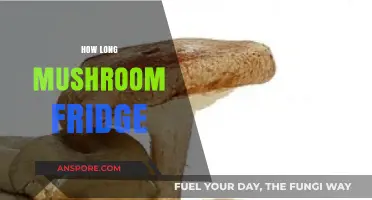 How Long Do Mushrooms Last in the Fridge: A Guide