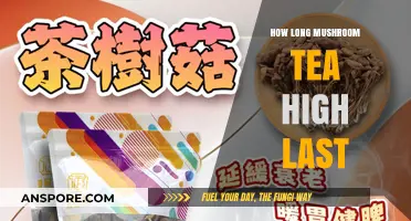 Exploring the Duration of a Mushroom Tea High: What to Expect