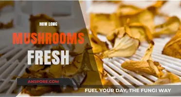 Maximizing Mushroom Freshness: Tips for Longer Shelf Life and Quality