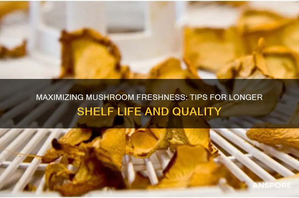 how long mushrooms fresh