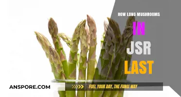 How Long Do Mushrooms Last in JSR? A Complete Guide