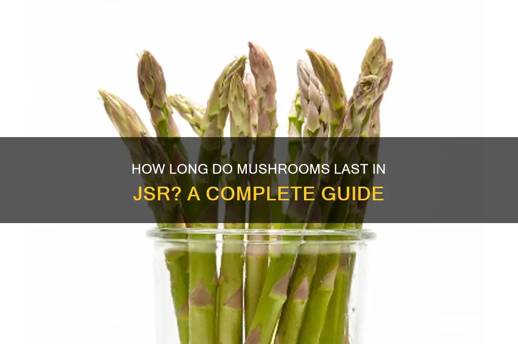 how long mushrooms in jsr last