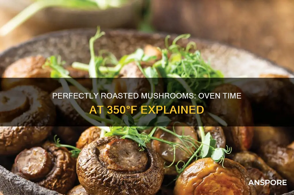 how long mushrooms in oven at 35
