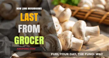 Shelf Life Secrets: How Long Do Grocer-Bought Mushrooms Stay Fresh?