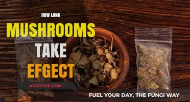 How Long Do Mushrooms Take to Kick In: A Guide