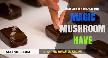 Magic Mushrooms' Shelf Life: How Long Do They Last?