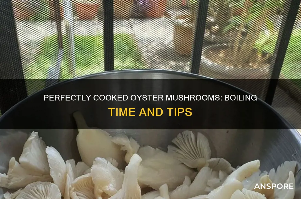 how long oyster mushrooms cook boil