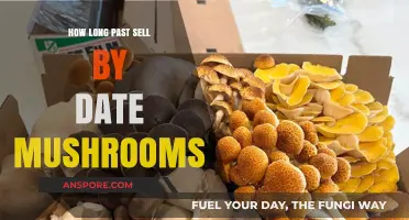 Mushroom Shelf Life: How Long Are They Good Past Sell By Date?
