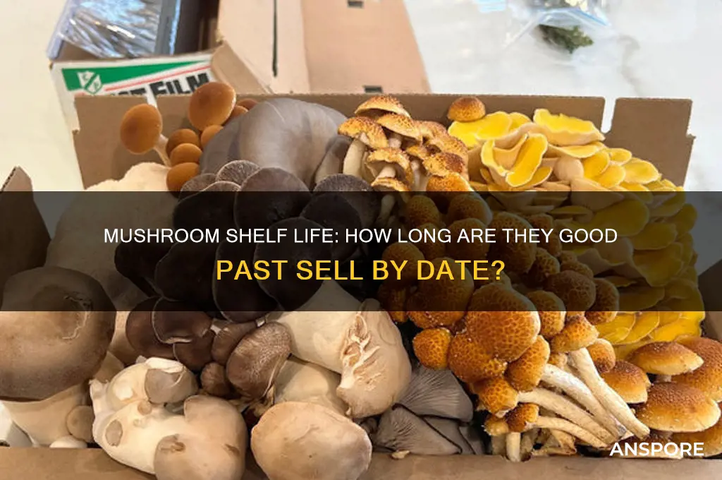 how long past sell by date mushrooms