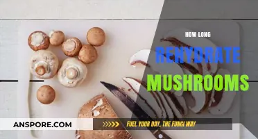 Rehydrating Mushrooms: Time, Tips, and Techniques for Perfect Results