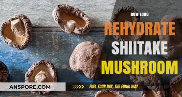 Rehydrating Shiitake Mushrooms: Time, Tips, and Perfect Texture Guide