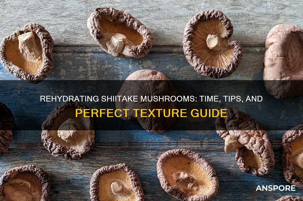 how long rehydrate shiitake mushroom