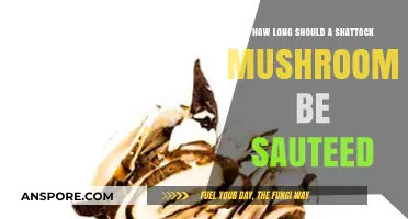 Perfectly Sauteed Shattock Mushrooms: Timing Tips for Optimal Flavor