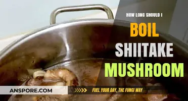 Perfectly Boiled Shiitake Mushrooms: Timing Tips for Ideal Texture