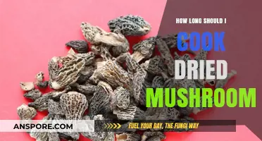 Perfectly Rehydrating Dried Mushrooms: Optimal Cooking Time and Techniques