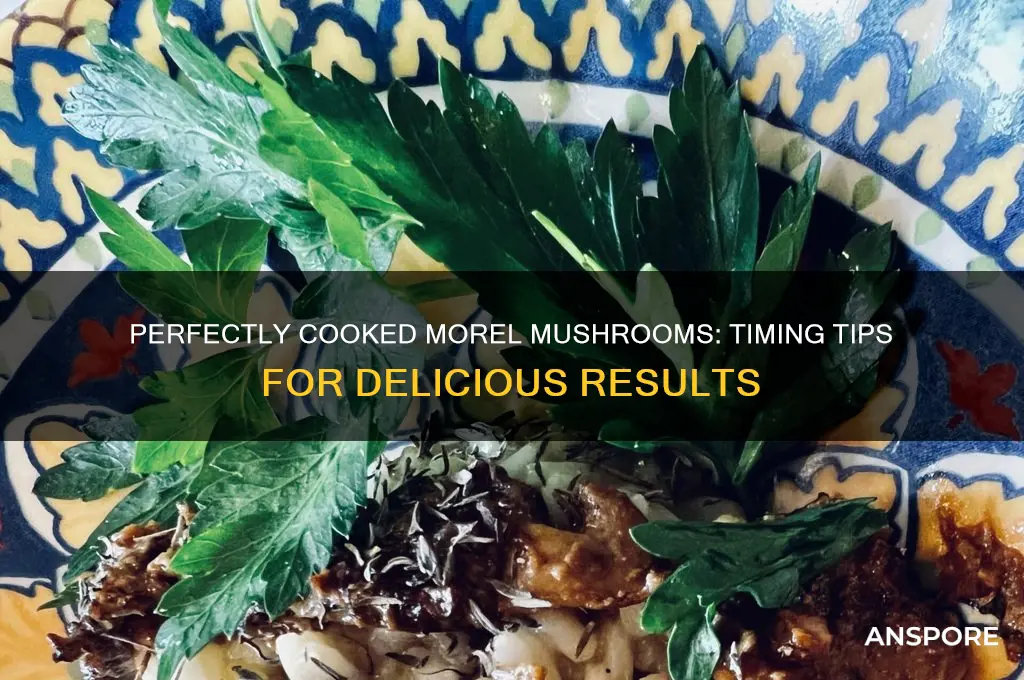 how long should i cook morel mushrooms