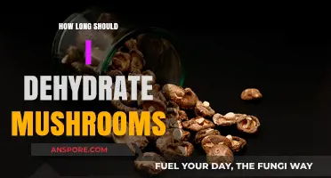 Perfect Dehydration Time for Mushrooms: Tips for Optimal Results