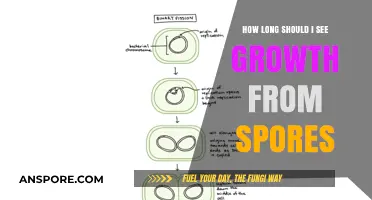 Spores to Growth: Understanding the Timeline for Visible Results