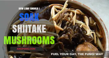 Perfect Shiitake Soaking Time: Tips for Optimal Flavor and Texture