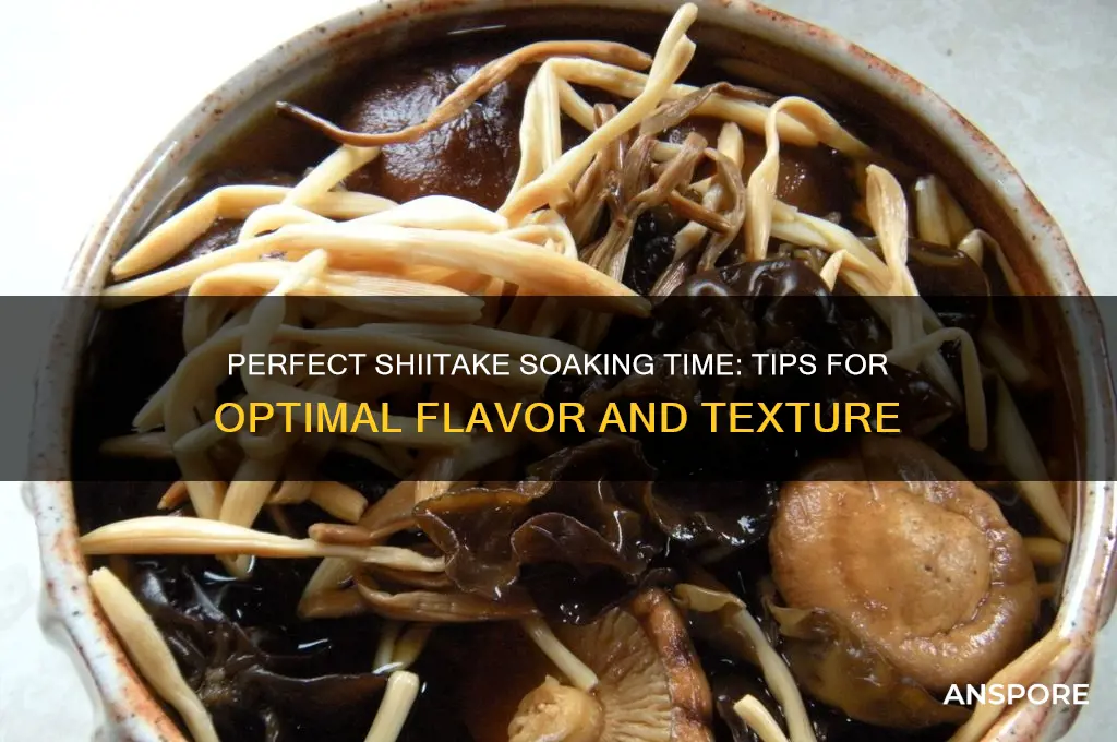 how long should i soak shiitake mushrooms