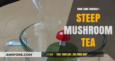 Perfect Mushroom Tea: Optimal Steeping Time for Rich Flavor and Benefits