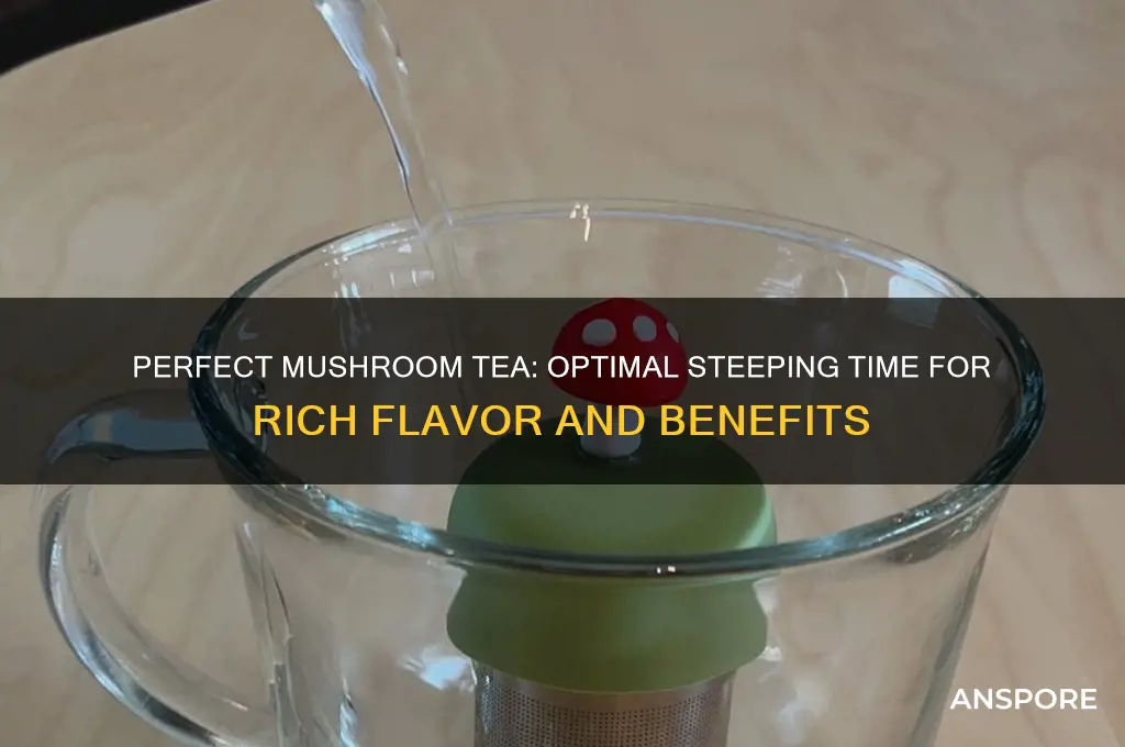 how long should i steep mushroom tea