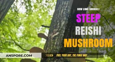 Perfect Reishi Mushroom Steep Time: Tips for Optimal Extraction