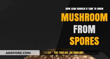 Growing Mushrooms from Spores: Understanding the Optimal Timeframe