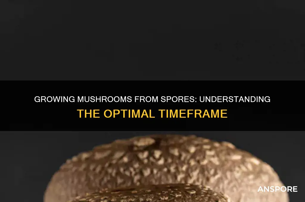 how long should it take to grow mushrooms from spores