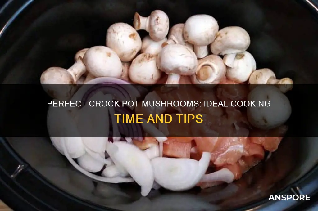 how long should mushrooms cook in crock pot